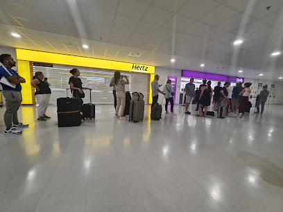 Firefly - Malaga Airport - Opiniones y contacto